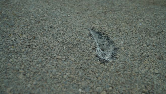 冠軍娛樂：現場圖片！多枚航彈爆炸致我赴黎維和部隊營區受損