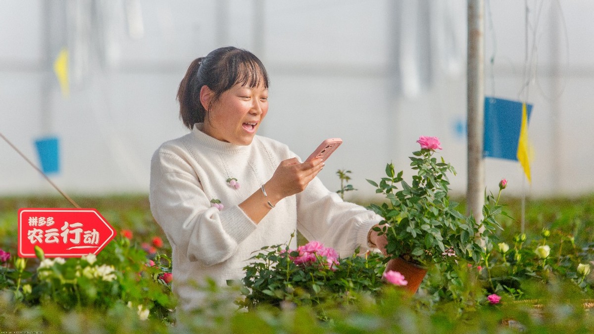 老虎機:拼多多2022年研發費用破百億,重投辳業科技,滿足用戶品質需求