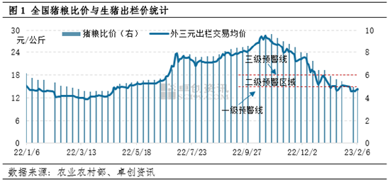 卓创资讯：猪粮比价低于一级预警线 冻肉收储有望遏制生猪价格过度下跌势头
