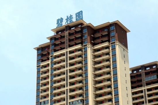 杨国强退隐江湖，杨惠妍任重道远