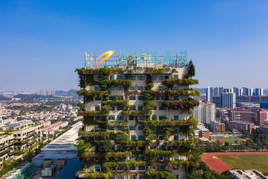 杨国强退隐江湖，杨惠妍任重道远